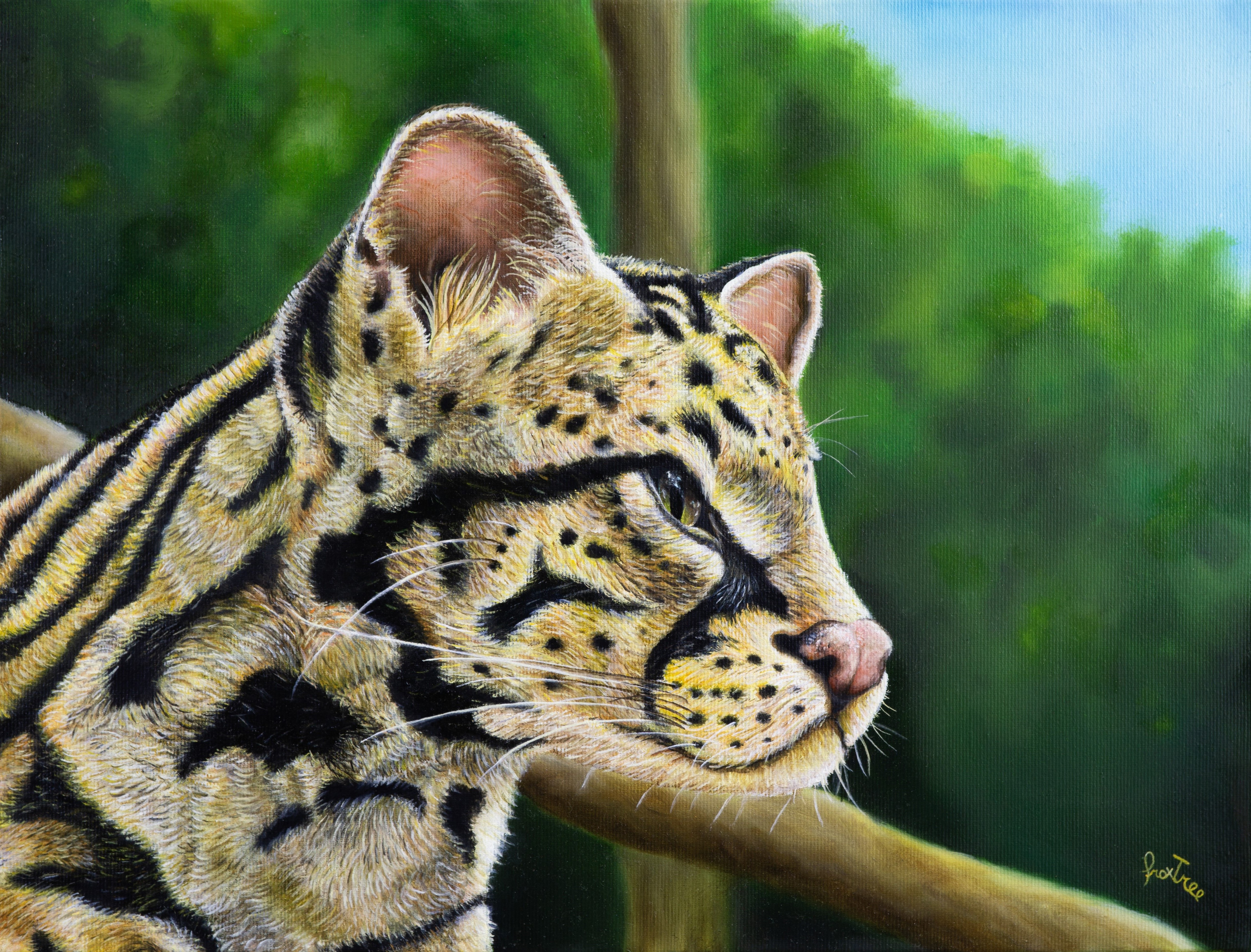 Leopardo nebuloso